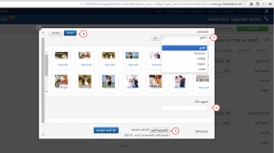 Joomla_3.间How_to_insert_images_into_an_article_and_manage_article_images-5